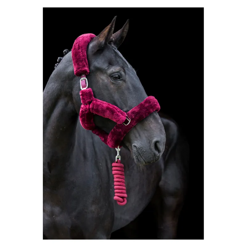 Cameo Deluxe Headcollar in Burgundy